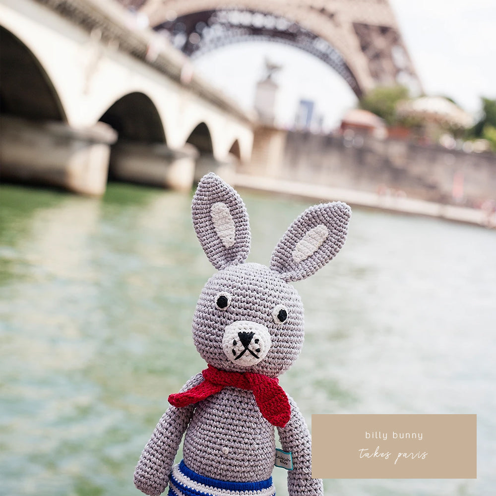BILLY BUNNY TAKES PARIS